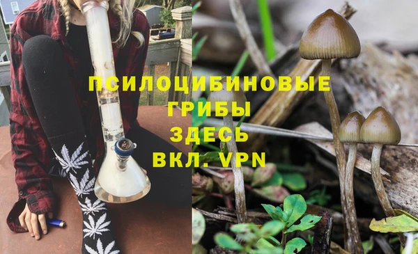 дживик Абинск