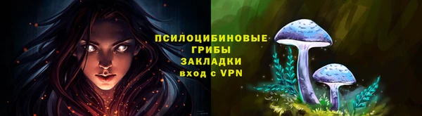 крисы Михайловка