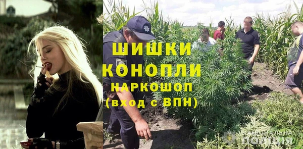 дживик Абинск