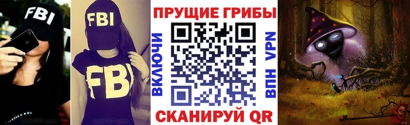 мориарти телеграм Цоци-Юрт Галлюциногенные грибы Magic Shrooms где продают